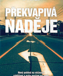 Překvapivá naděje – Wright N. T.