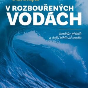 V rozbouřených vodách - Dan Drápal