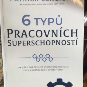 6 typů pracovních superschopností - Patrick Lencioni