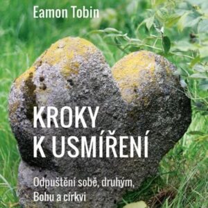 Kroky k usmíření - Eamon Tobin