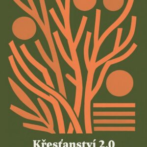 Křesťanství 2.0 - Brian Mc Laren