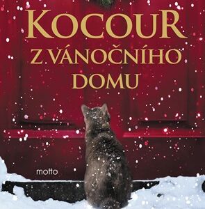 Kocour z vánočního domu - Lili Hayward