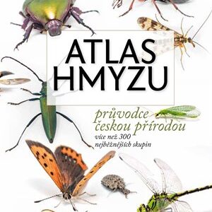 Atlas hmyzu - Petr Šípek, Jiří Hadrava, Lucie Hrůzová, David Sommer, Šimon Zeman